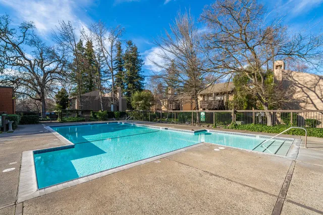 a view of a garden with plants and large trees