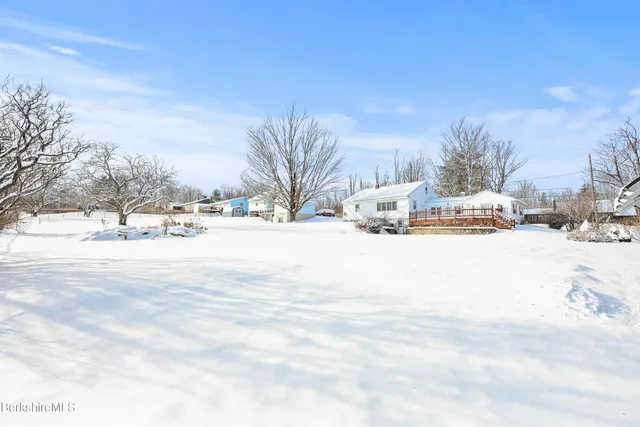 a view of road with large trees