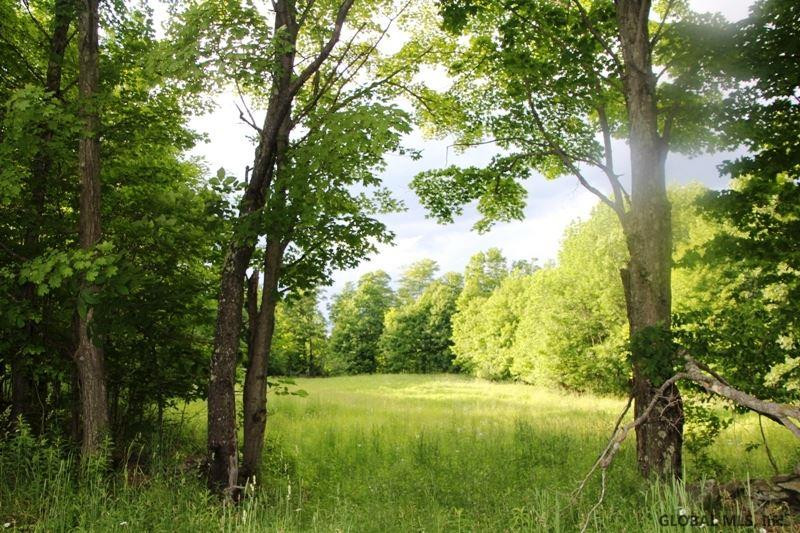 143 Decker Road Summit, NY 12149 - Photo 15 of 25 Photo 15