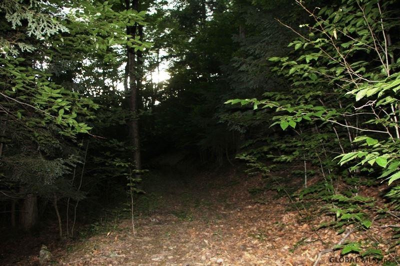 143 Decker Road Summit, NY 12149 - Photo 4 of 25 Photo 4