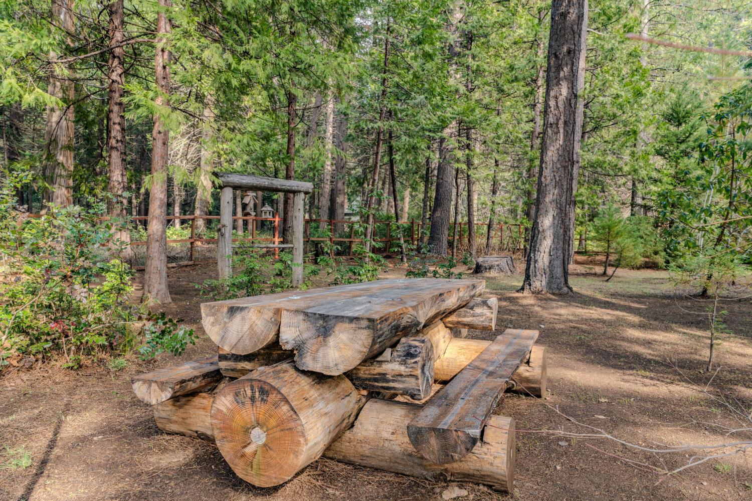 1190 Lily Valley Way West Point, CA 95255 - Photo 16 of 83