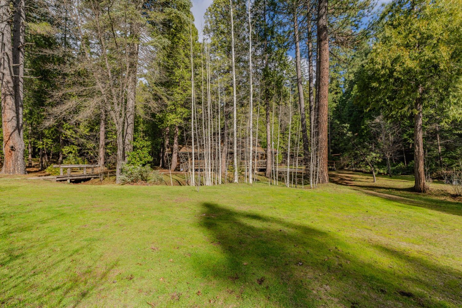 1190 Lily Valley Way West Point, CA 95255 - Photo 23 of 83