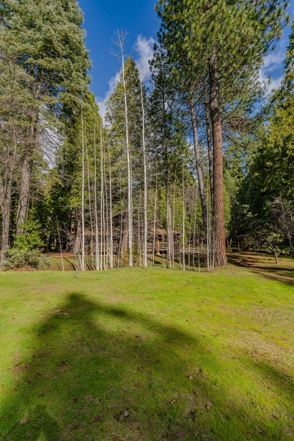 1190 Lily Valley Way West Point, CA 95255 - Photo 24 of 83