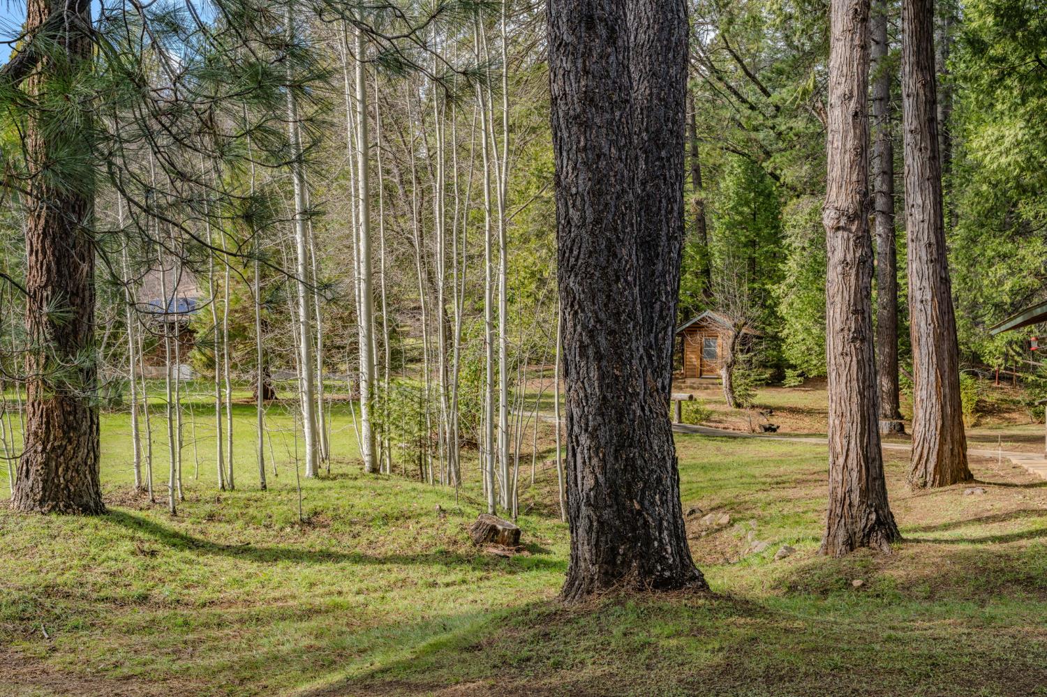 1190 Lily Valley Way West Point, CA 95255 - Photo 28 of 83