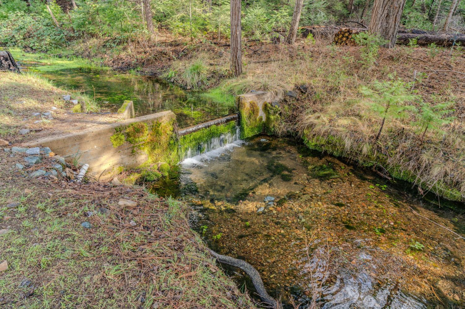 1190 Lily Valley Way West Point, CA 95255 - Photo 29 of 83