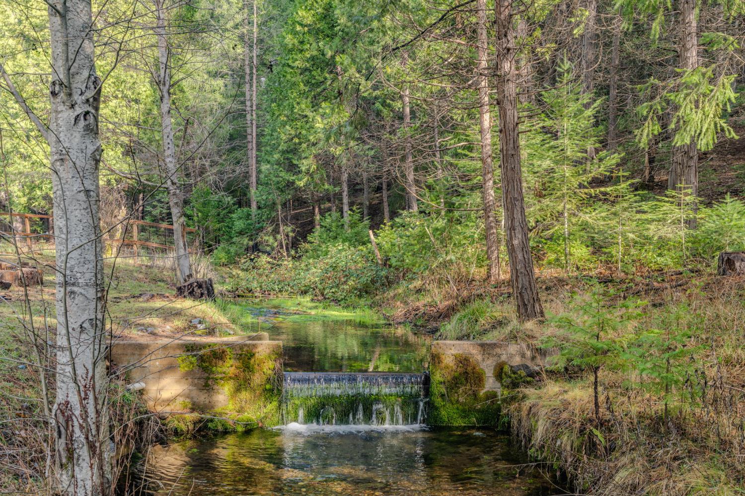 1190 Lily Valley Way West Point, CA 95255 - Photo 30 of 83