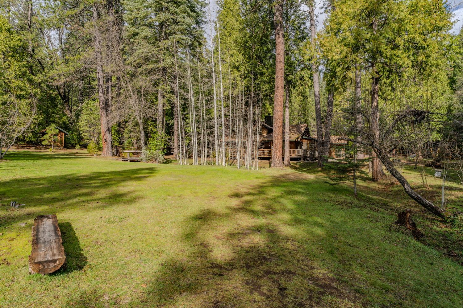 1190 Lily Valley Way West Point, CA 95255 - Photo 32 of 83