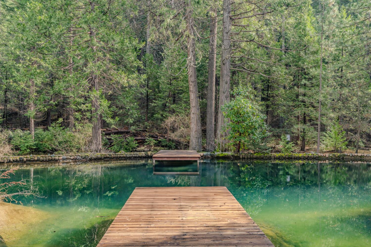 1190 Lily Valley Way West Point, CA 95255 - Photo 37 of 83