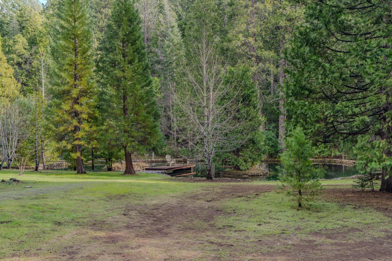 1190 Lily Valley Way West Point, CA 95255 - Photo 42 of 83