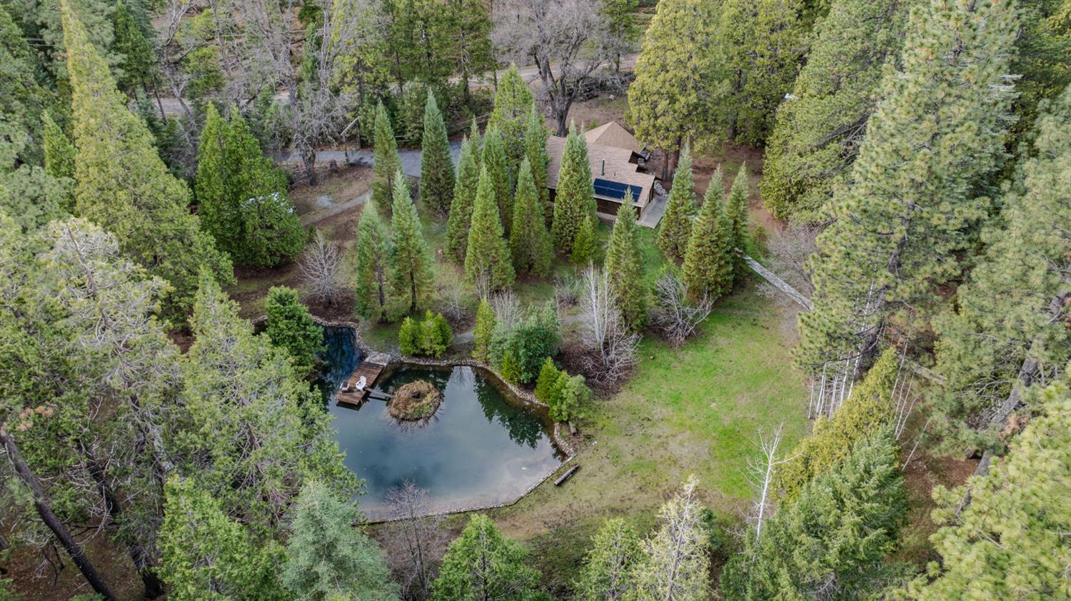 1190 Lily Valley Way West Point, CA 95255 - Photo 5 of 83