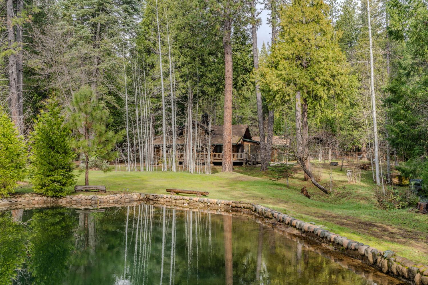 1190 Lily Valley Way West Point, CA 95255 - Photo 6 of 83