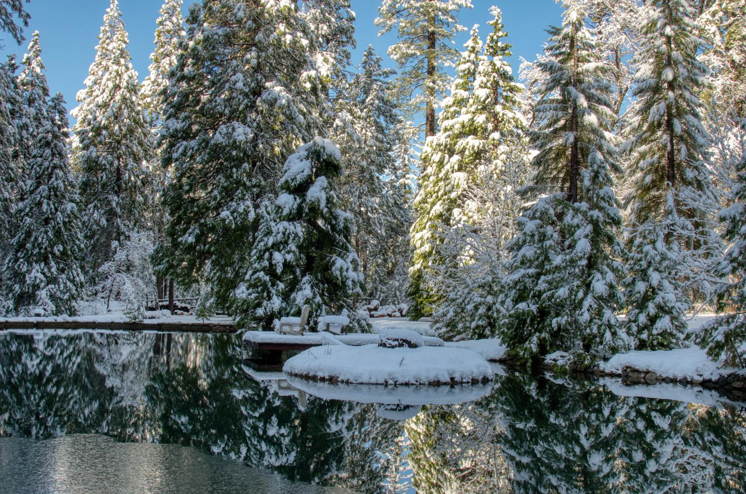 1190 Lily Valley Way West Point, CA 95255 - Photo 80 of 83