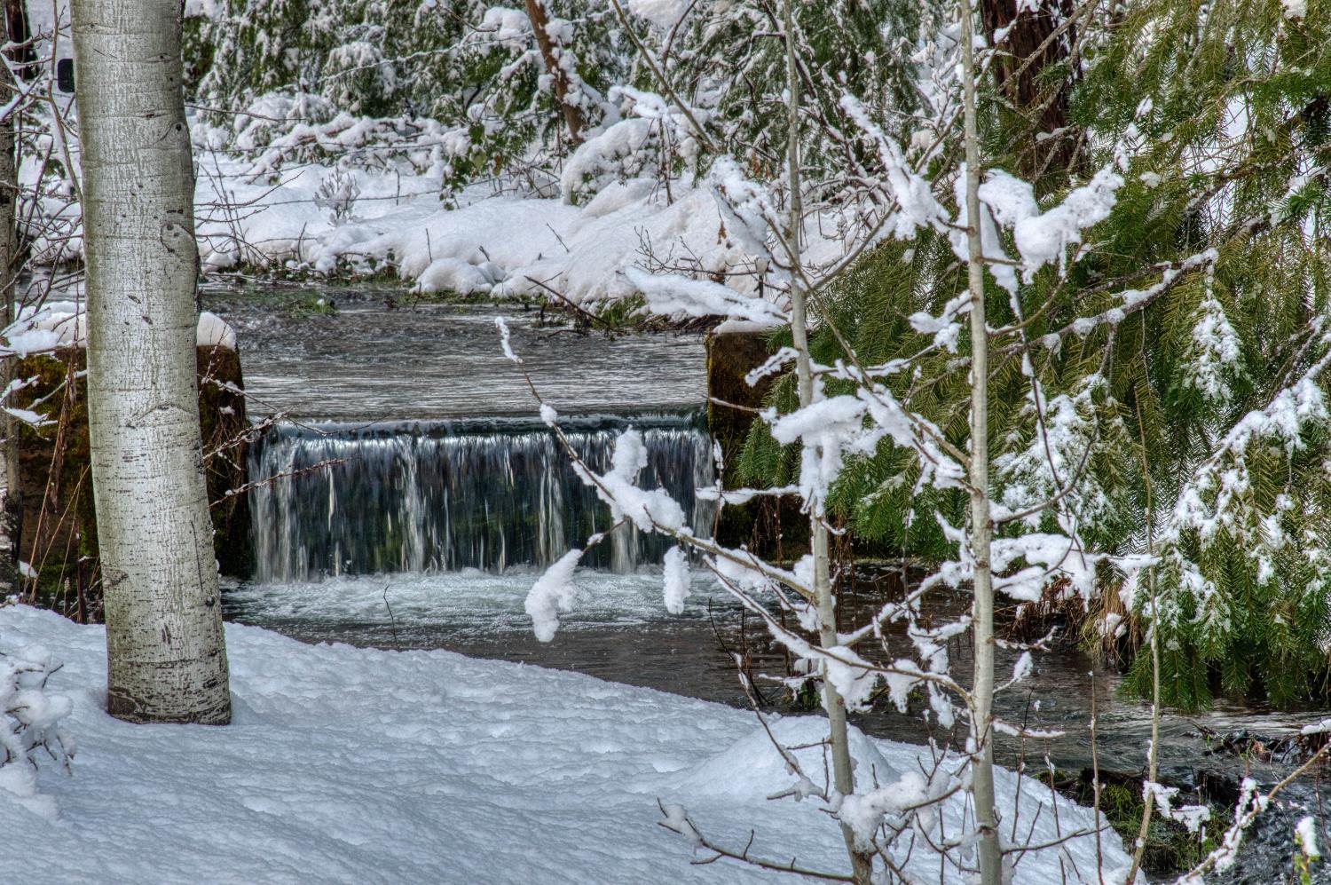 1190 Lily Valley Way West Point, CA 95255 - Photo 81 of 83