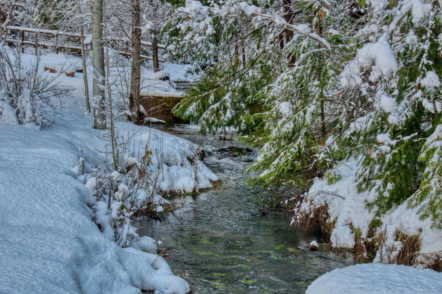 1190 Lily Valley Way West Point, CA 95255 - Photo 82 of 83