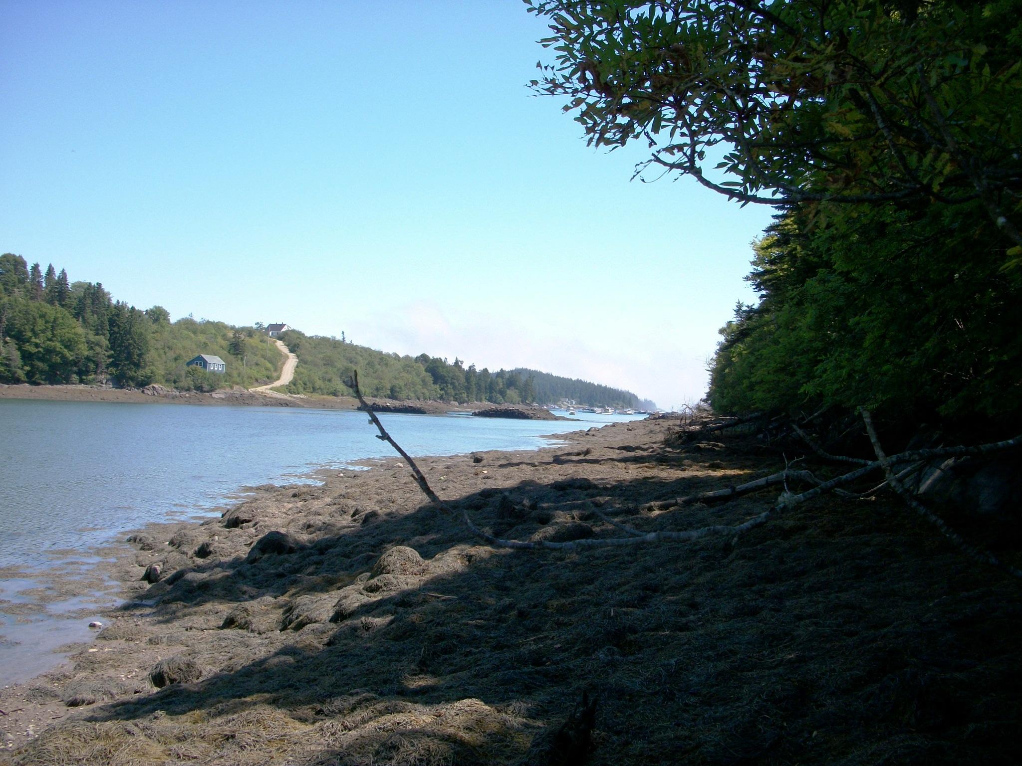 Lot 3 Destiny Bay Road Cutler, ME 04626 - Photo 8 of 13 000_00037