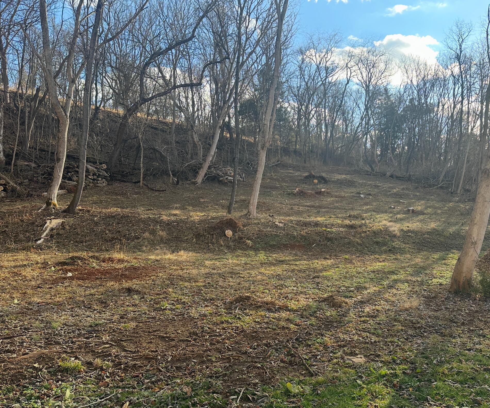 3808 Oldtown Road Shawsville, VA 24162 - Photo 49 of 50 a view of a yard with trees