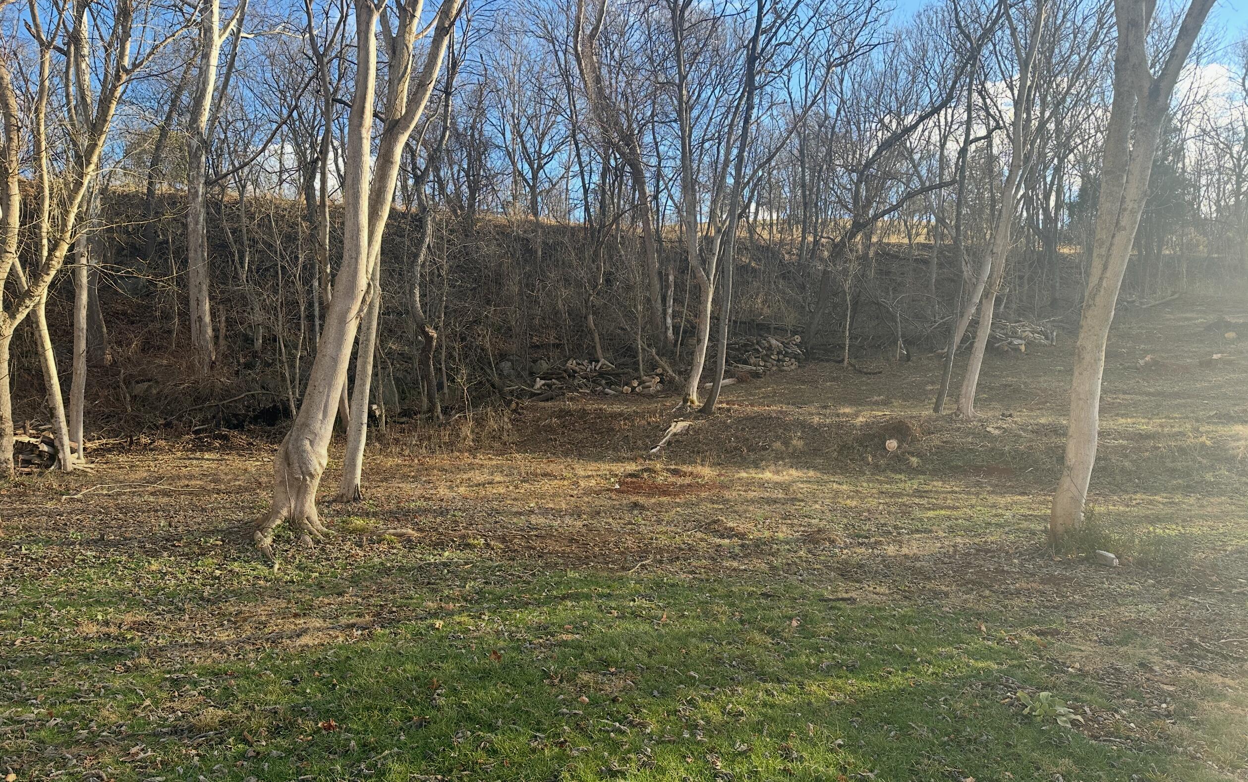 3808 Oldtown Road Shawsville, VA 24162 - Photo 50 of 50 a backyard of a house with lots of green space