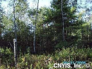 5293 Texas Road Croghan, NY 13619 - Photo 1 of 1 Land/Lot