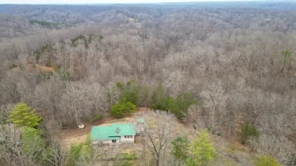a view of backyard of house with large trees