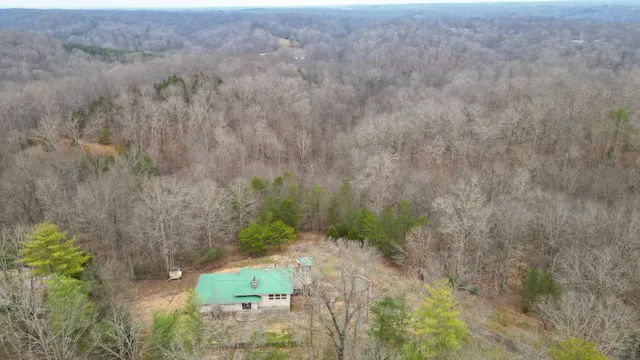 a view of backyard of house with large trees