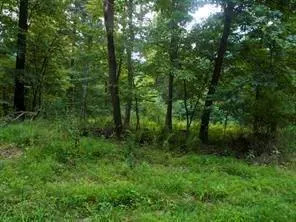 $49,900 | Lots 1-2 Brady's Landing, Karns City, PA 16041