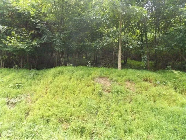 $49,900 | Lots 1-2 Brady's Landing, Karns City, PA 16041