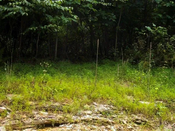 $49,900 | Lots 1-2 Brady's Landing, Karns City, PA 16041