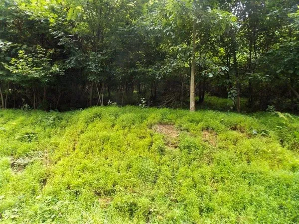 $49,900 | Lots 1-2 Brady's Landing, Karns City, PA 16041