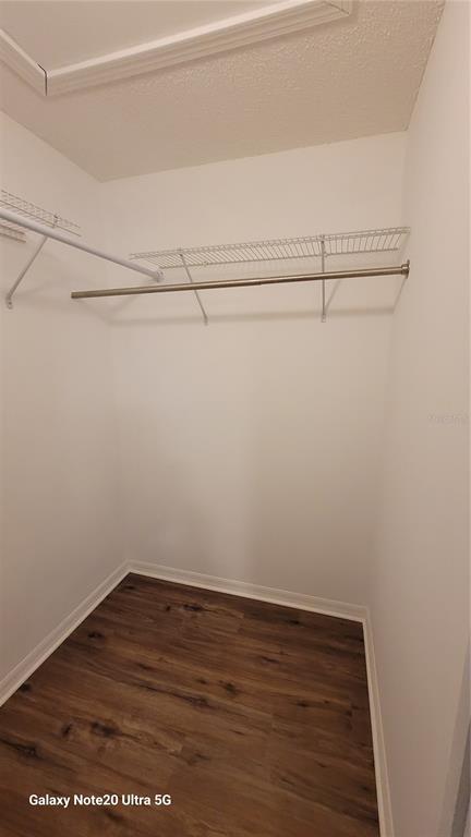 4529 Edith Street New Port Richey, FL 34652 - Photo 13 of 14