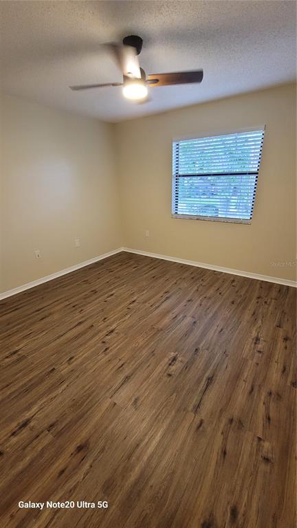 4529 Edith Street New Port Richey, FL 34652 - Photo 9 of 14