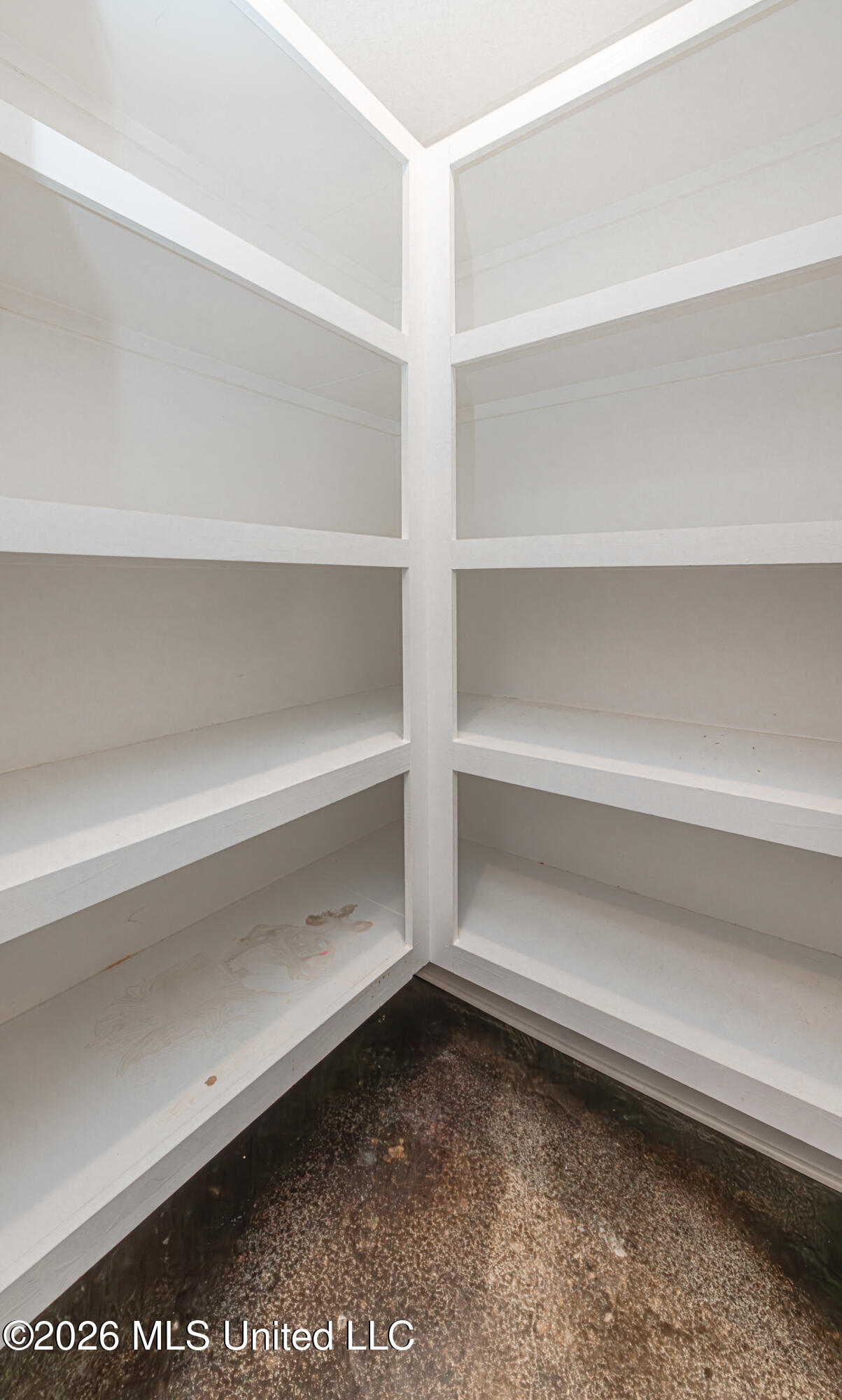 266 Chartleigh Circle Canton, MS 39046 - Photo 13 of 38 1R4A5982