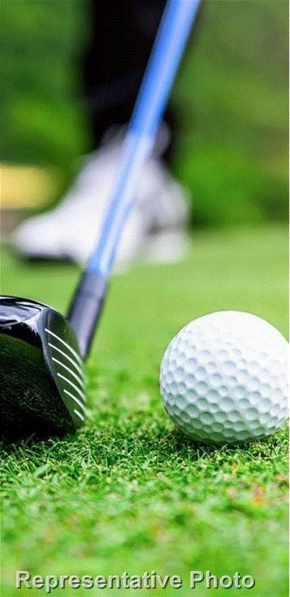 8751 Mancos Valley Porter, TX 77365 - Photo 45 of 48 a view of a backyard with plants