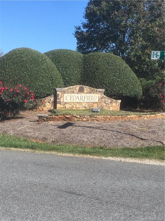 9313 Cedar River Road Huntersville, NC 28078 - Photo 4 of 21