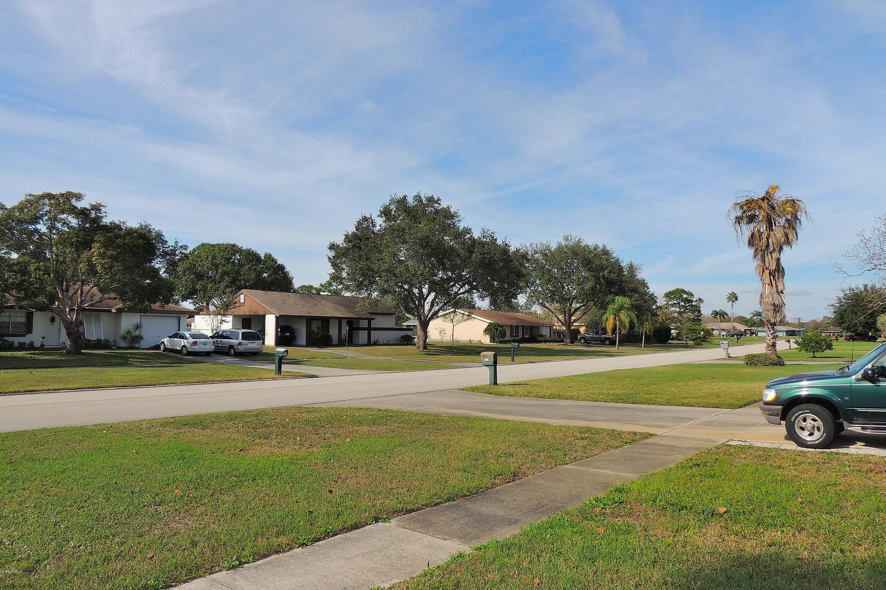 1120 Riviera Drive Northeast Palm Bay, FL 32905 - Photo 42 of 44 a view of a big yard with palm trees