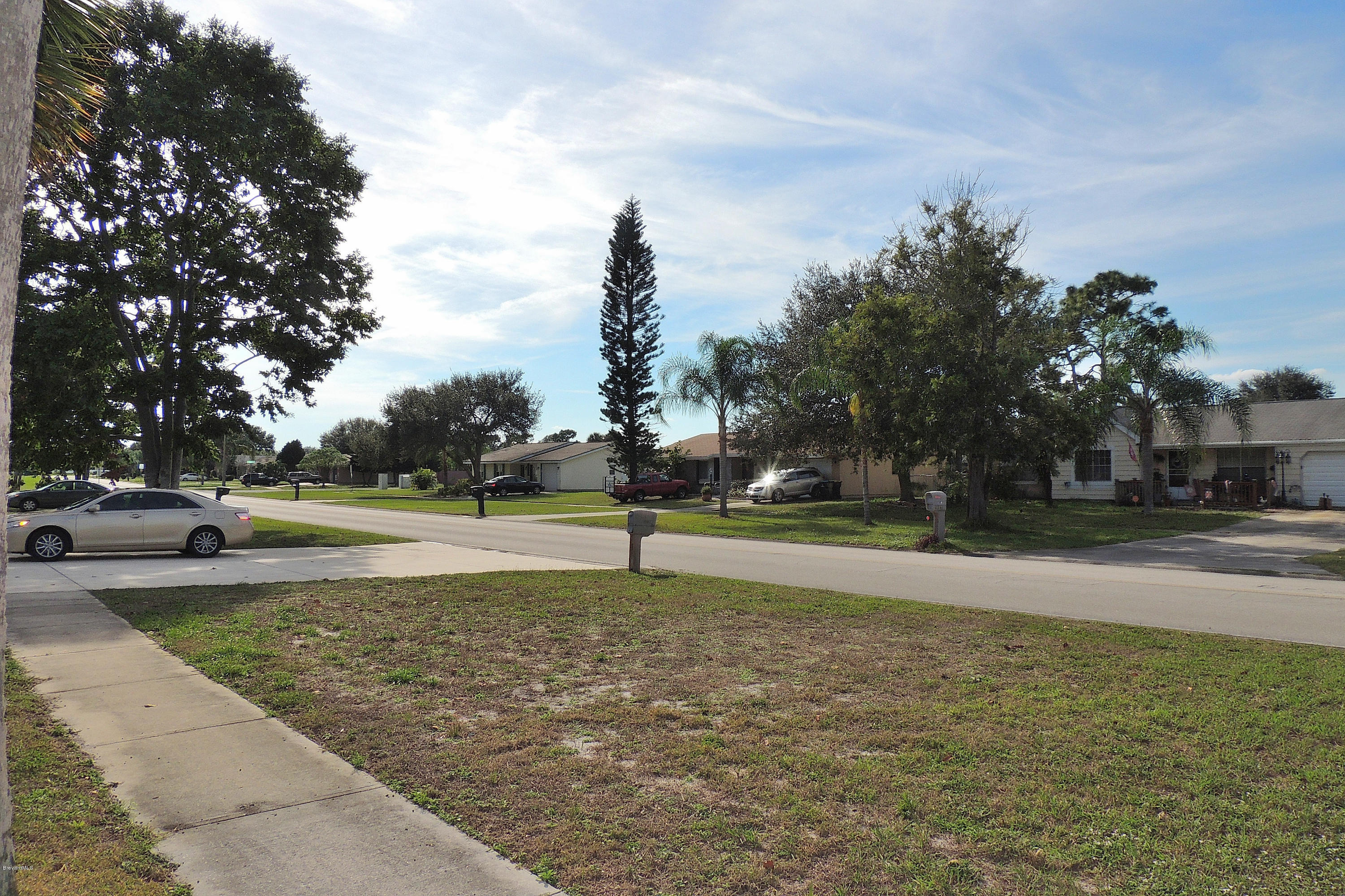 1120 Riviera Drive Northeast Palm Bay, FL 32905 - Photo 44 of 44 a view of yard with swimming pool and trees