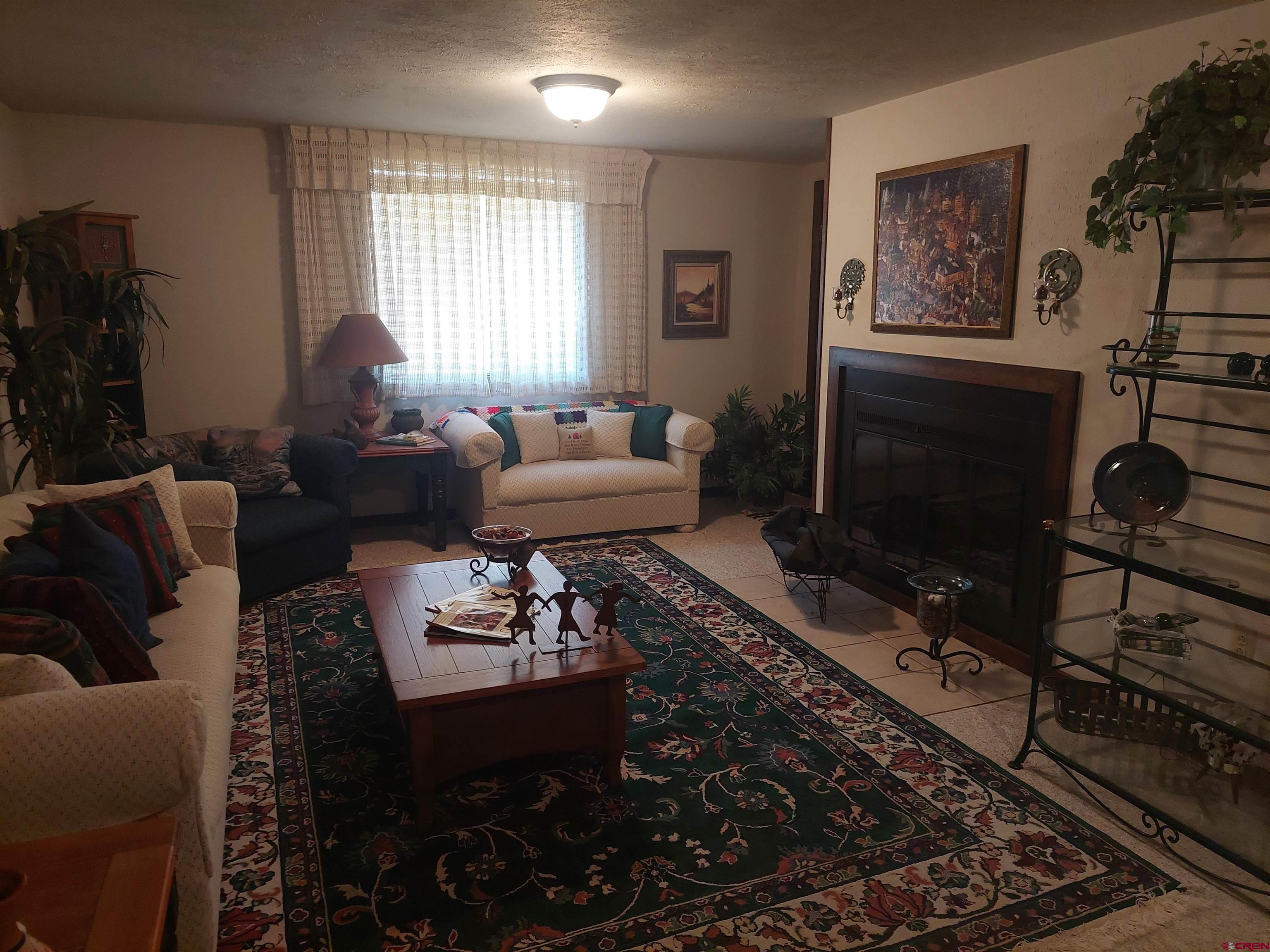 813 Milner Pass Road South Fork, CO 81154 - Photo 14 of 27 a living room with furniture a flat screen tv and a fireplace