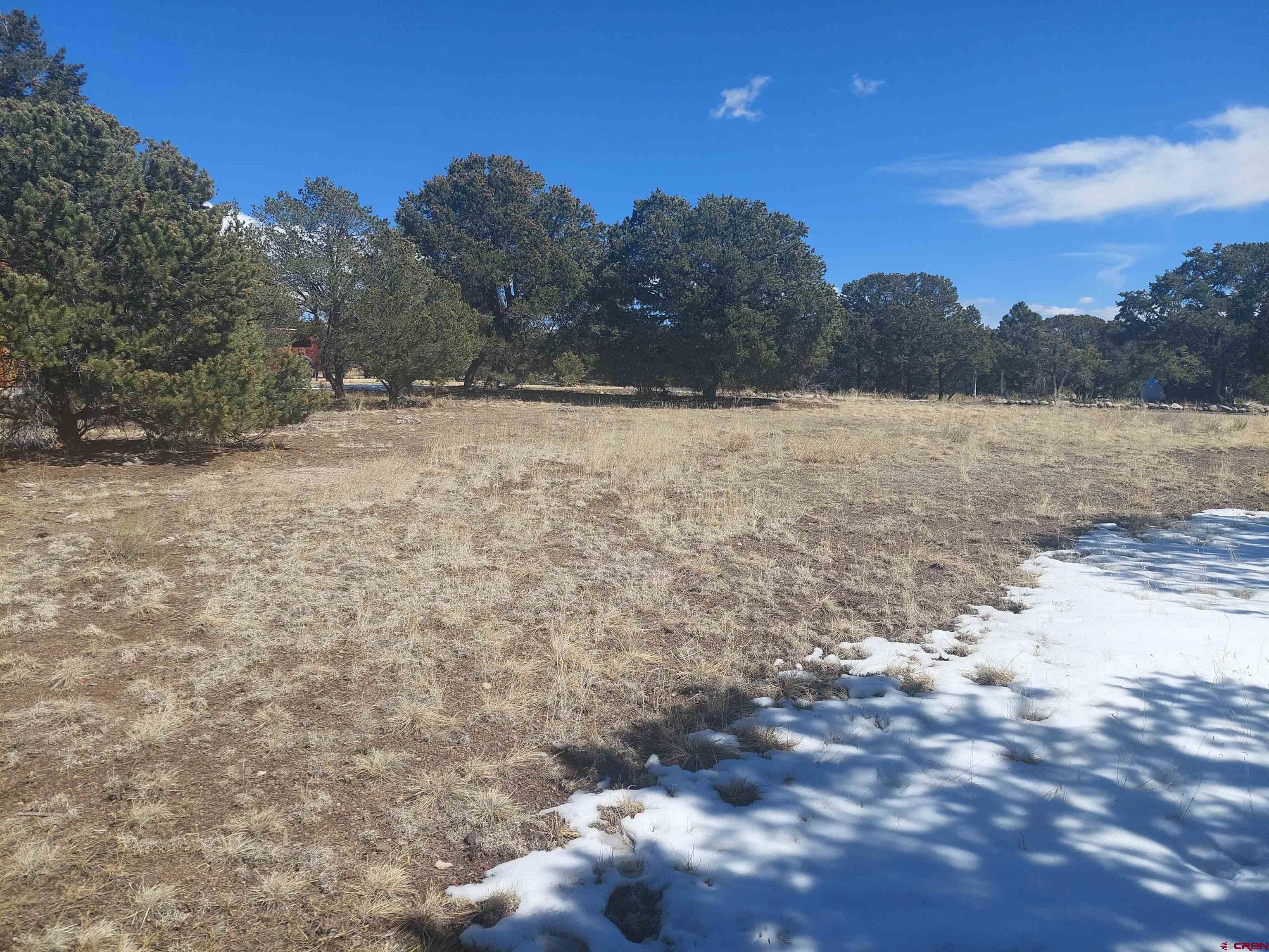 813 Milner Pass Road South Fork, CO 81154 - Photo 25 of 27 a view of mountain view with lots of trees