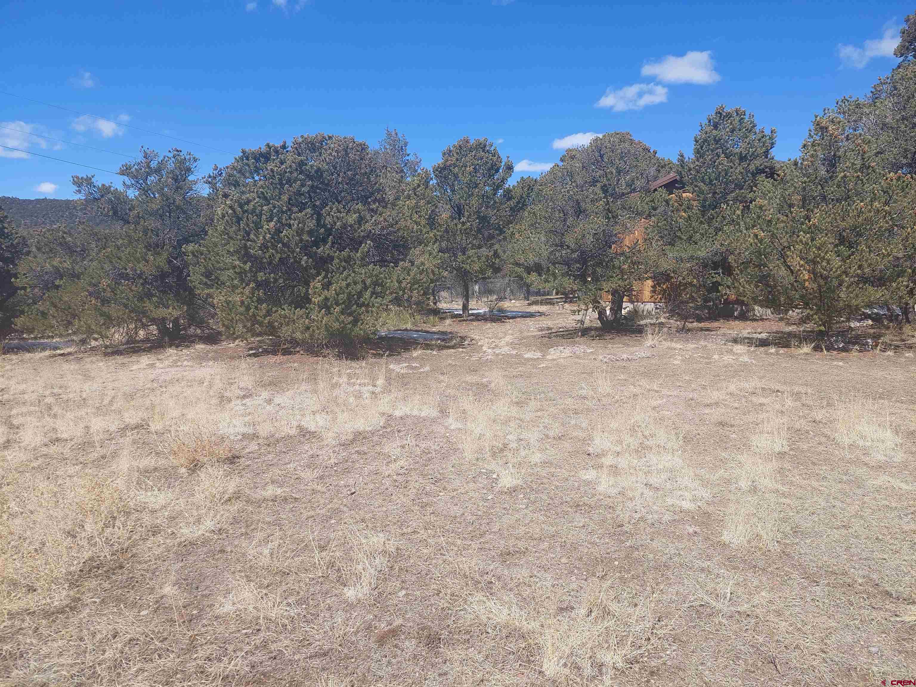 813 Milner Pass Road South Fork, CO 81154 - Photo 26 of 27 a view of yard covered with snow in the background