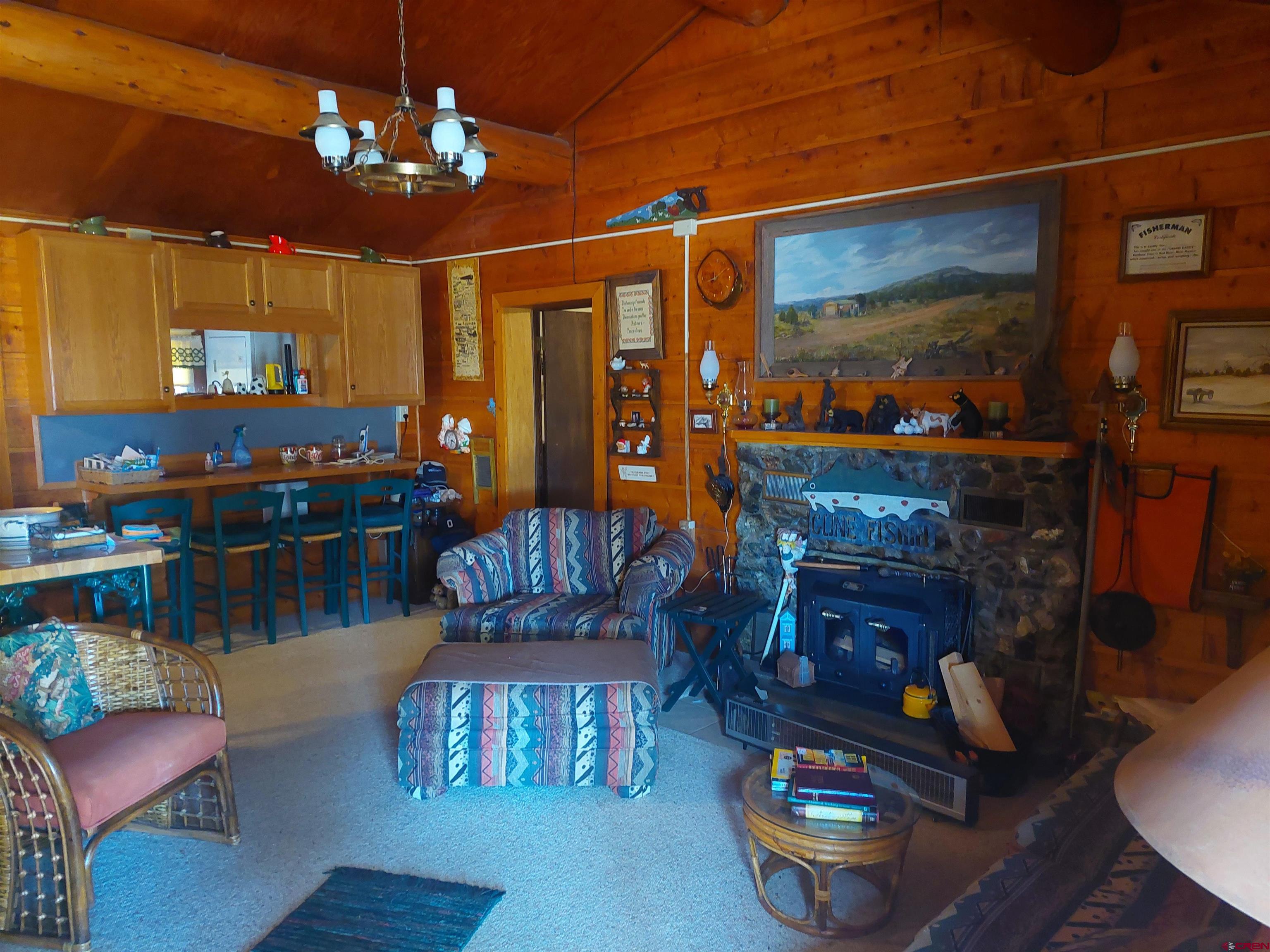 813 Milner Pass Road South Fork, CO 81154 - Photo 5 of 27 a living room with furniture and a fireplace