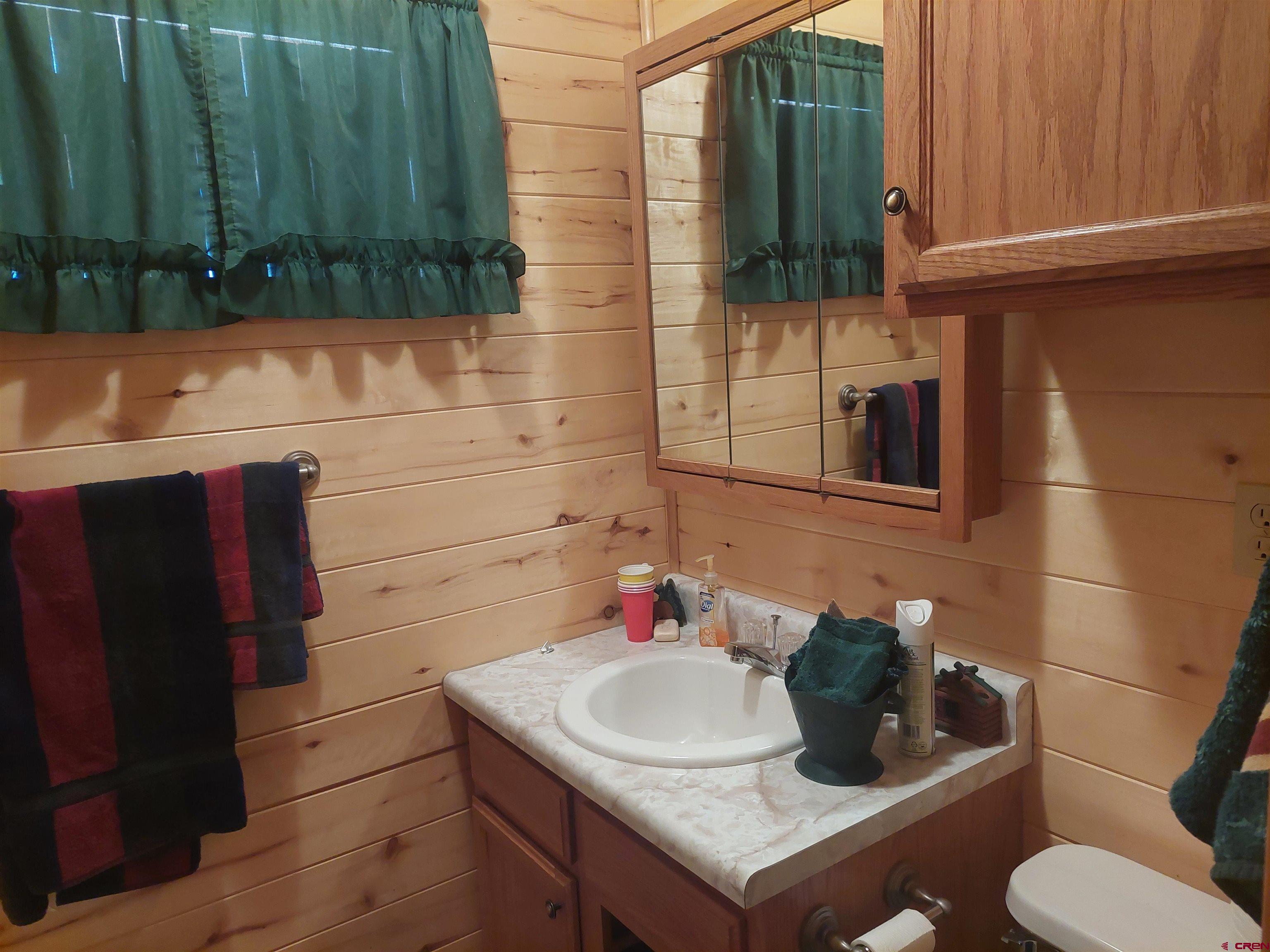 813 Milner Pass Road South Fork, CO 81154 - Photo 10 of 27 a bathroom with a sink and a toilet