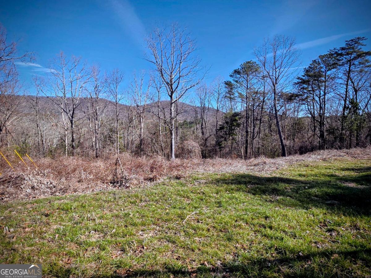 0 Cowart Mountain Tract 2 Road Jasper, GA 30143 - Photo 8 of 19