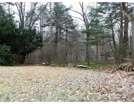 1291 Plumtree Road Springfield, MA 01119 - Photo 28 of 30 a backyard of a house