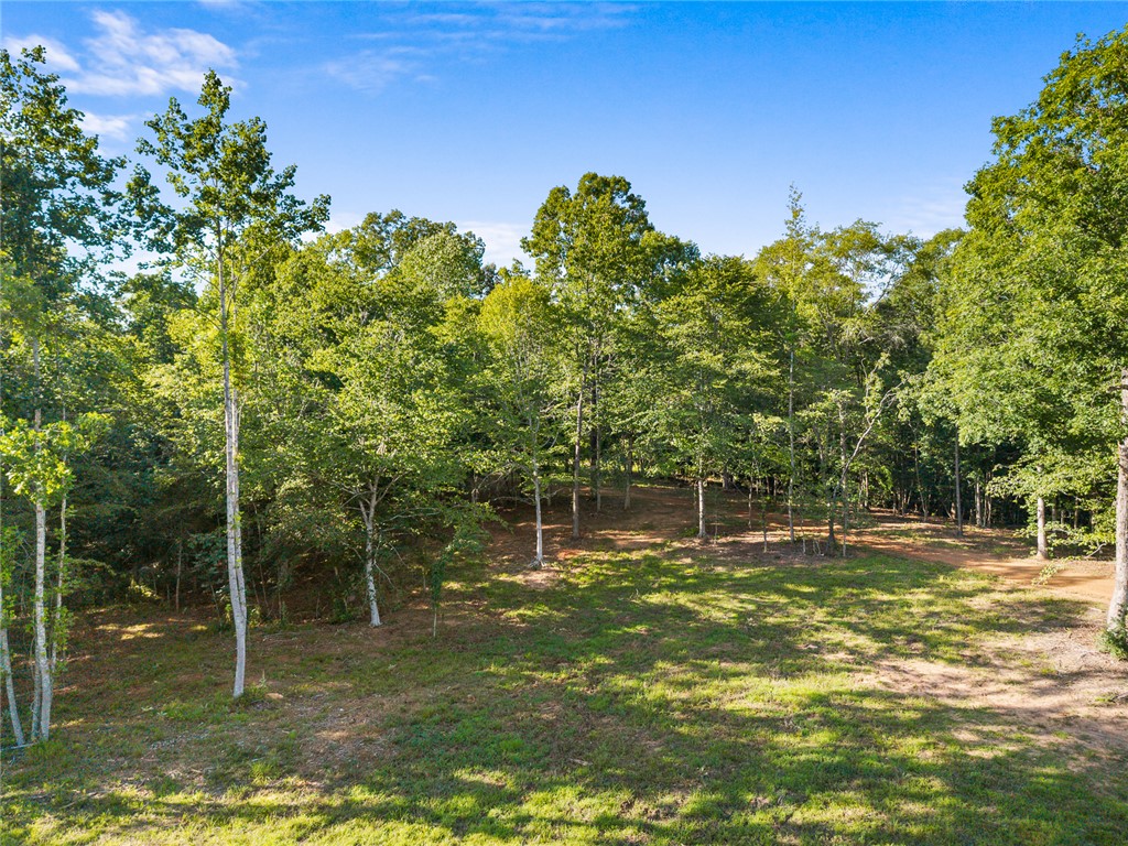 75 Hidden Acres Trail Pelzer, SC 29669 - Photo 21 of 32