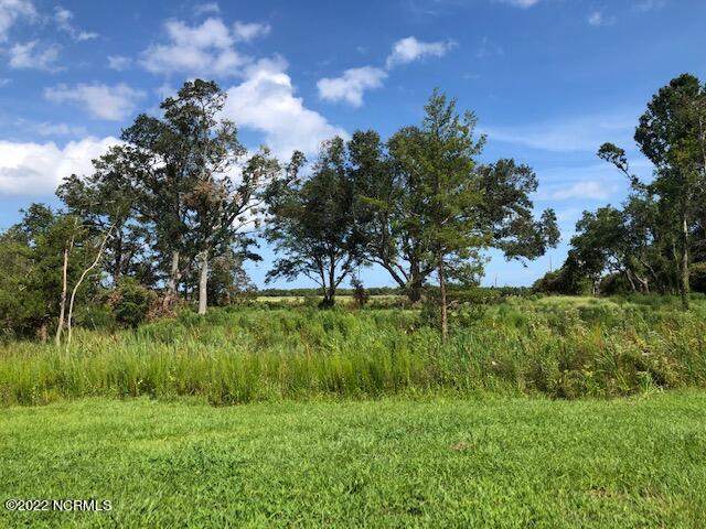 225 Patalanda Road Wilmington, NC 28409 - Photo 3 of 11 High Lot for Building