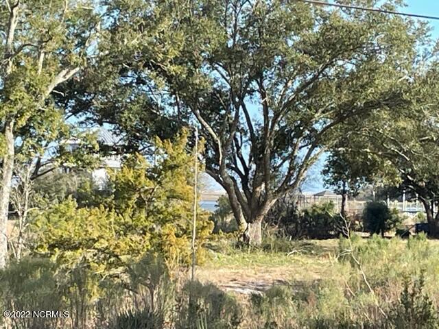 225 Patalanda Road Wilmington, NC 28409 - Photo 4 of 11 Oak Trees on high area