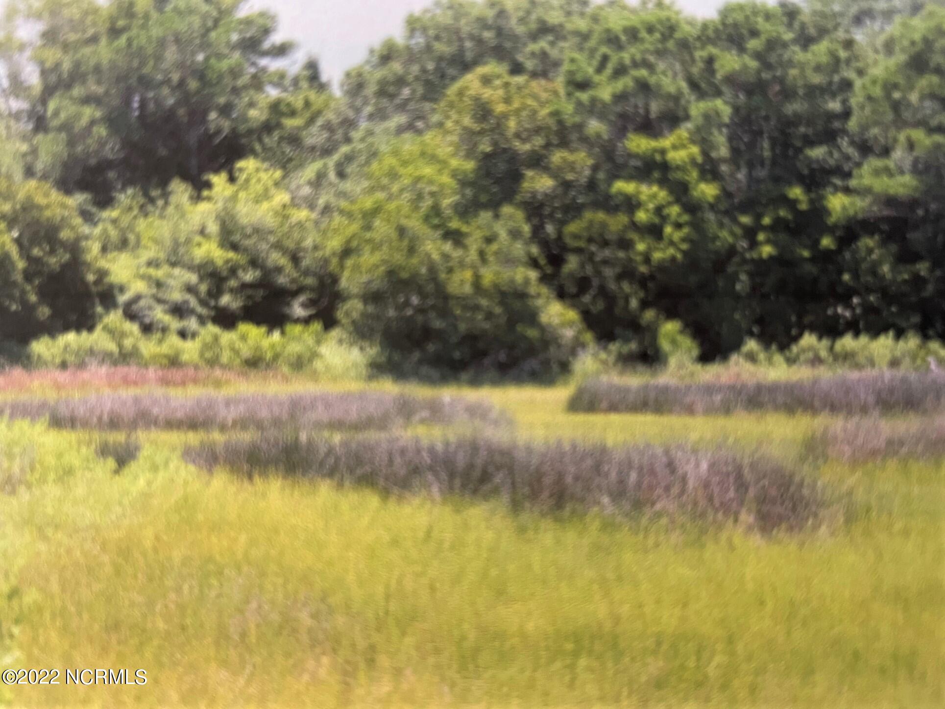 225 Patalanda Road Wilmington, NC 28409 - Photo 6 of 11 Patalanda View of Land from Water