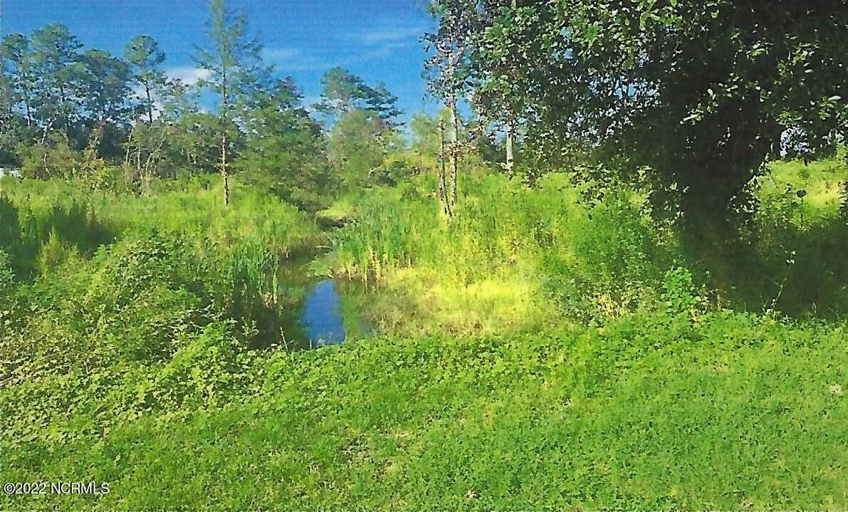 225 Patalanda Road Wilmington, NC 28409 - Photo 8 of 11 Patalanda