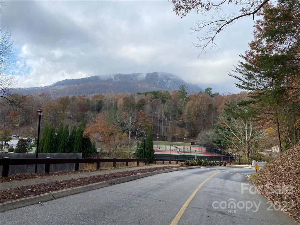 Tbd Rumbling Bald Road Lake Lure, NC 28746 - Photo 11 of 14 a view of a street