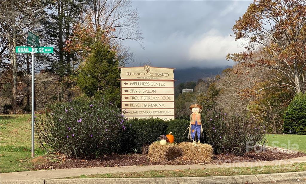 Tbd Rumbling Bald Road Lake Lure, NC 28746 - Photo 12 of 14 a view of a house with a yard and sitting area