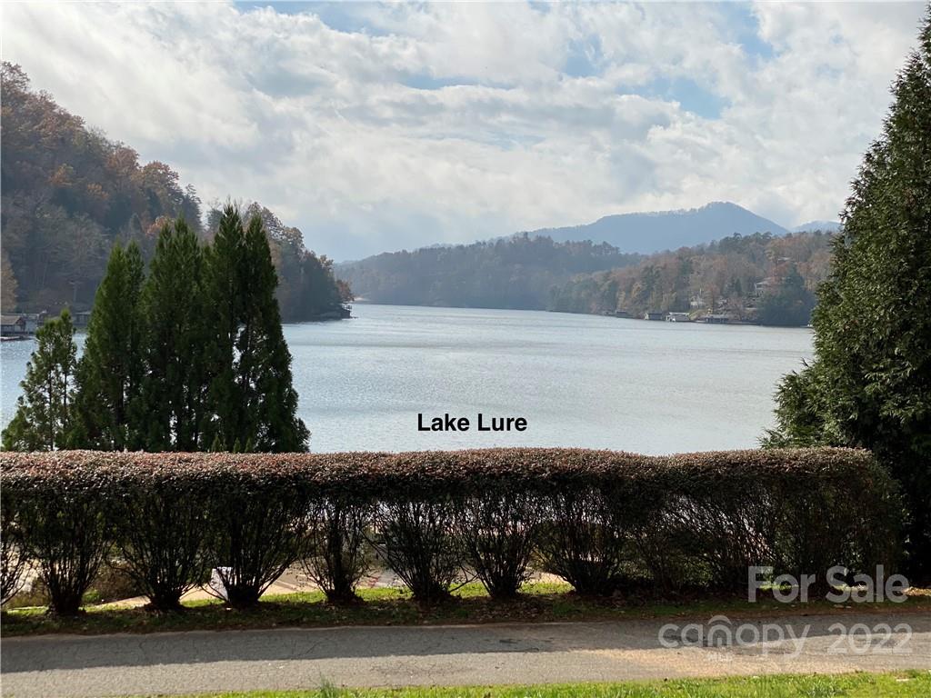 Tbd Rumbling Bald Road Lake Lure, NC 28746 - Photo 13 of 14 a view of building with mountains in the background